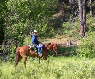  Descubriendo la naturaleza a caballo 